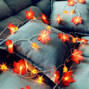 Halloween Pumpkin & Maple Leaf String Lights - detail view 3