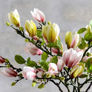 Artificial Magnolia Flower Stems - detail view 4
