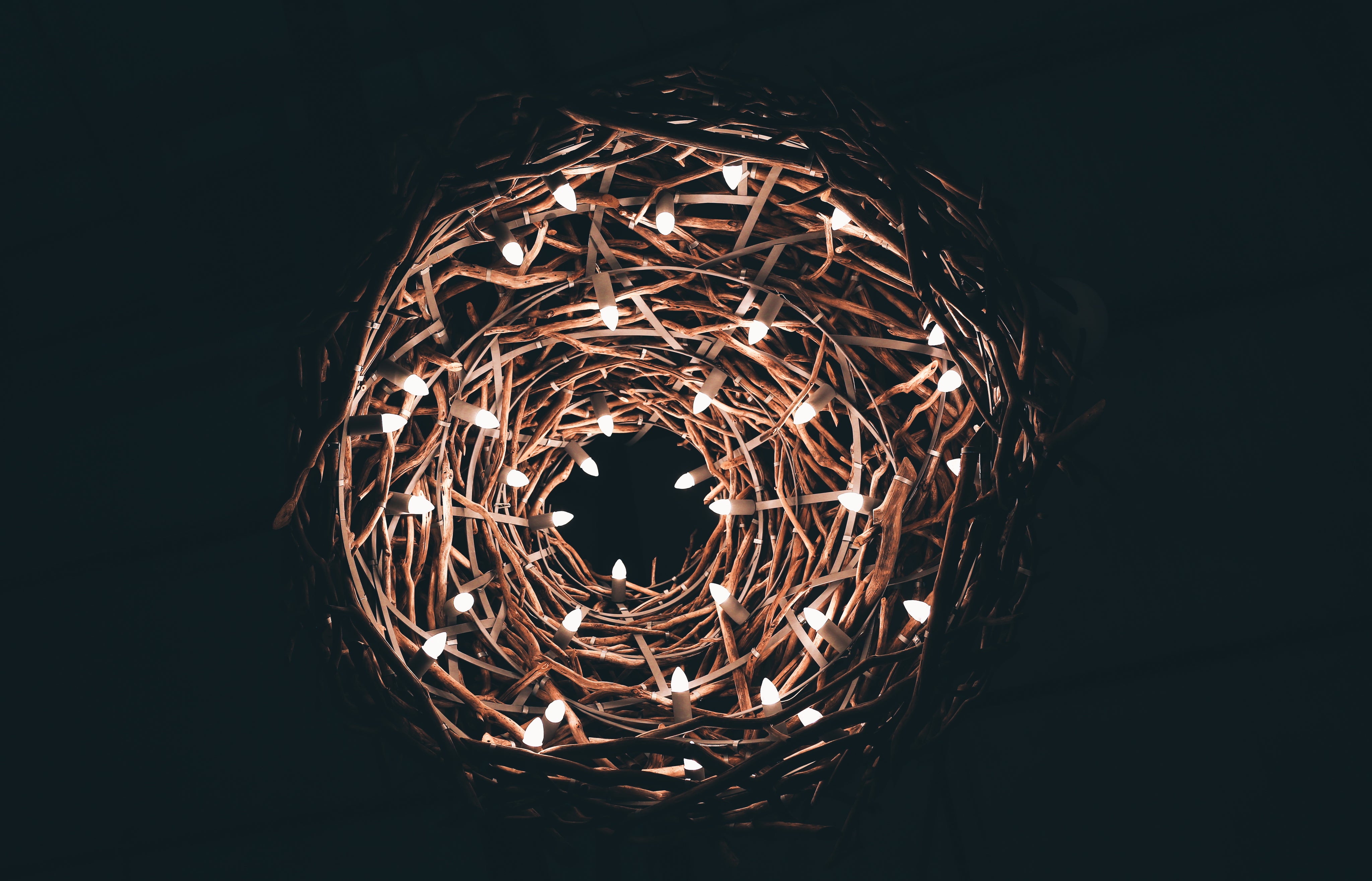 nest-with-string-lights.jpg